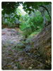 El agua que corre